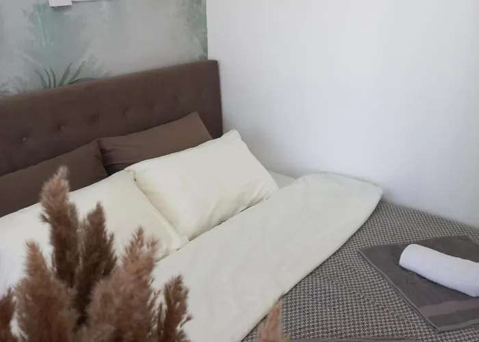 Planinski San Kopaonik