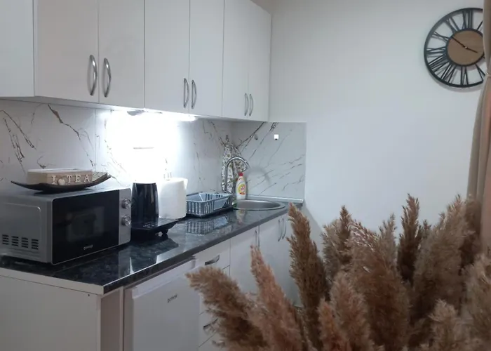 Apartamento Planinski San *